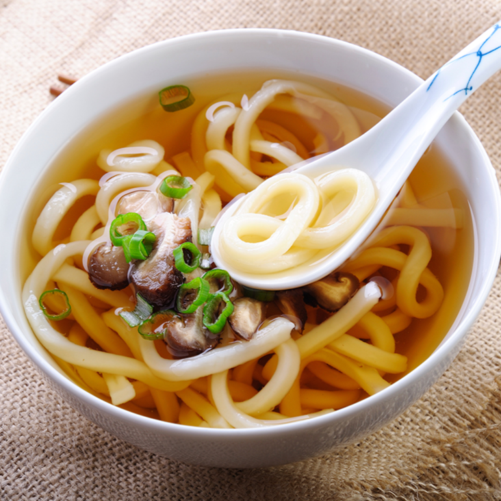 SOPA DE UDON